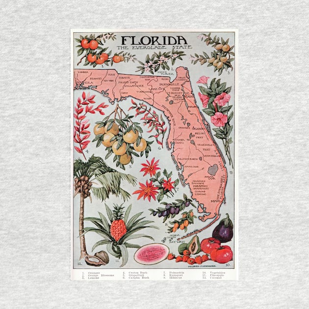 Vintage Map of Florida (1917) by Bravuramedia